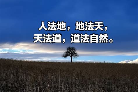 人法地|人法地，地法天，天法道，道法自然。 原文